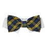Bruce Bow Tie