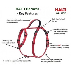 HALTI Walking Harness Black