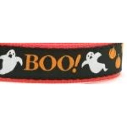 Boo Cat Harness and Lead Set