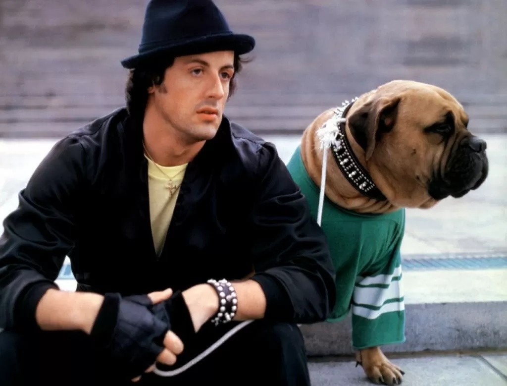 Birillo il cane in Rocky (1976)