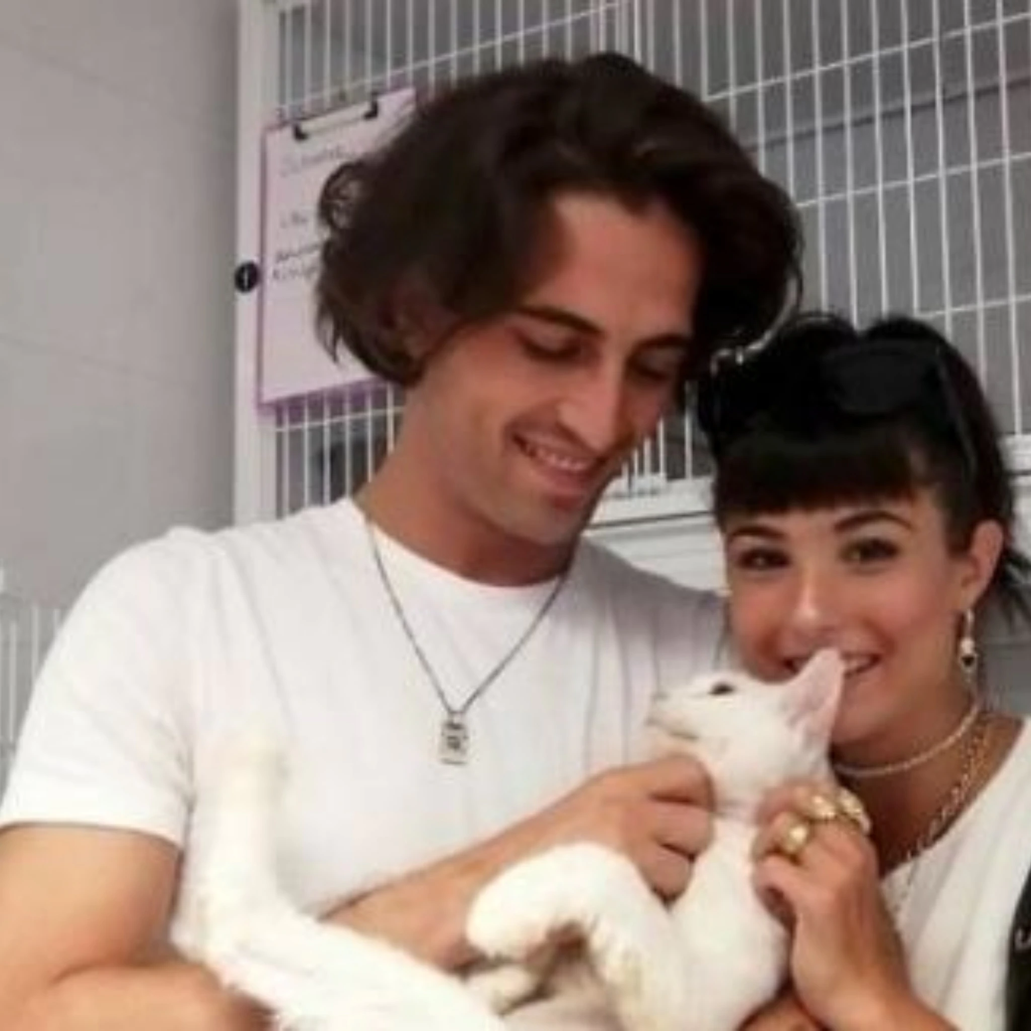 Damiano dei Maneskin e Giorgia Soleri hanno adottato un gatto cieco Damiano dei Maneskin e Giorgia Soleri hanno adottato un gatto cieco