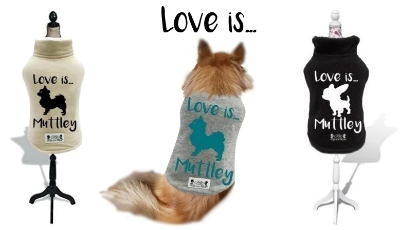 Felpine Chihuahua personalizzabili by Trilly tutti Brilli