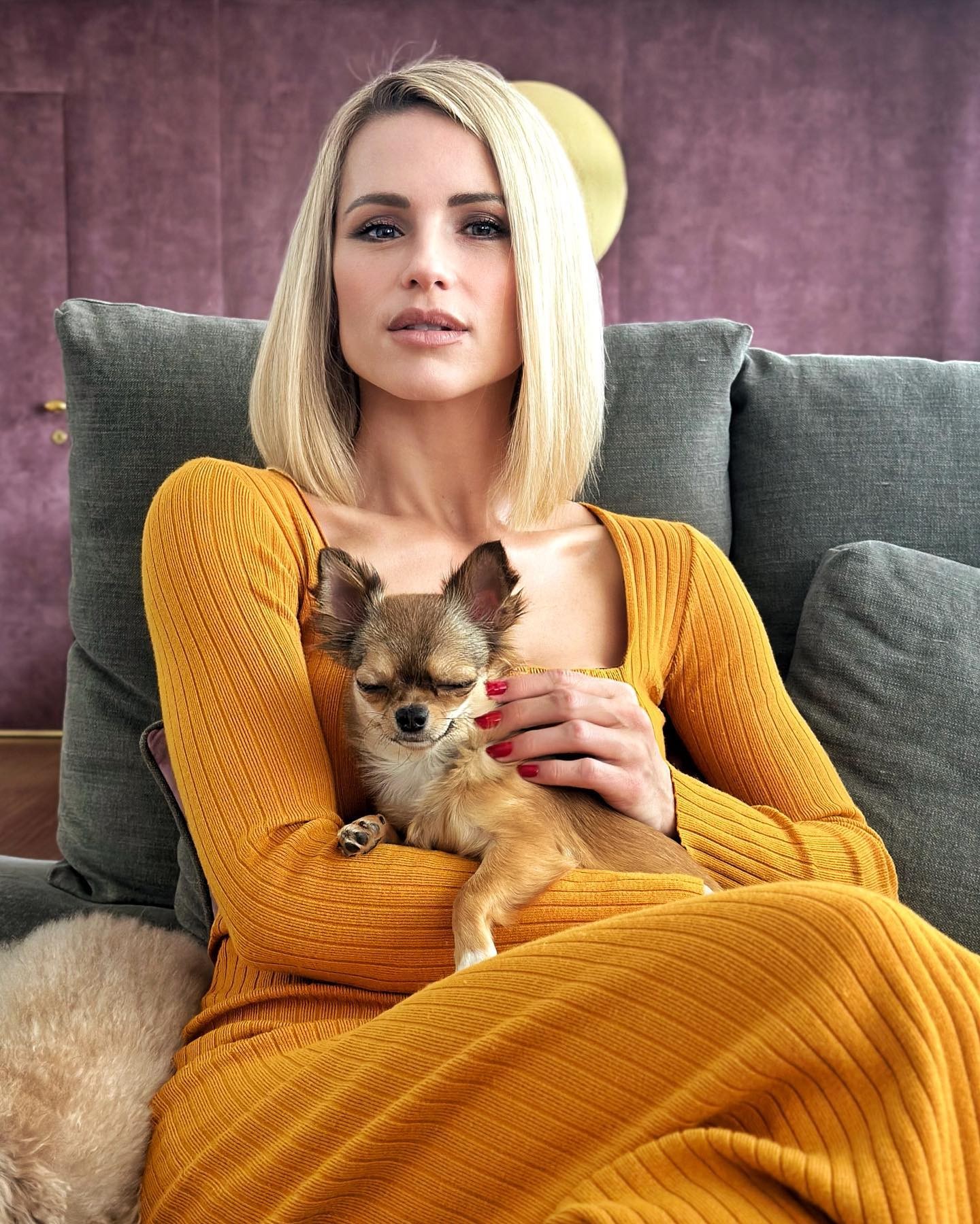 Una chihuahua a casa  Hunziker Una chihuahua a casa  Hunziker