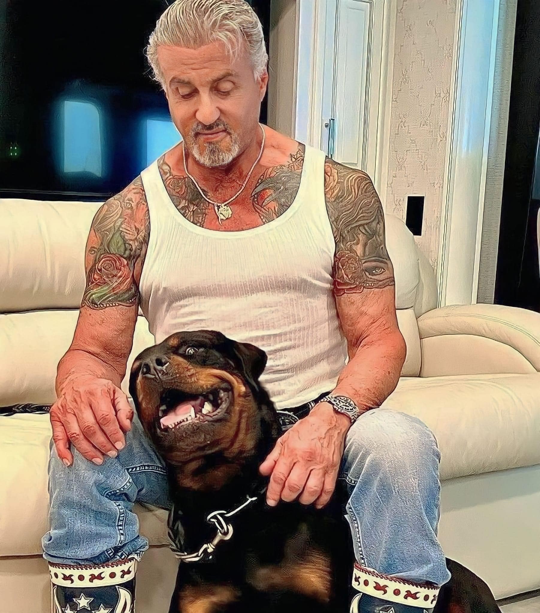 Sylvester Stallone divorzia dalla moglie a causa del suo Rottweiler.  Sylvester Stallone divorzia dalla moglie a causa del suo Rottweiler.