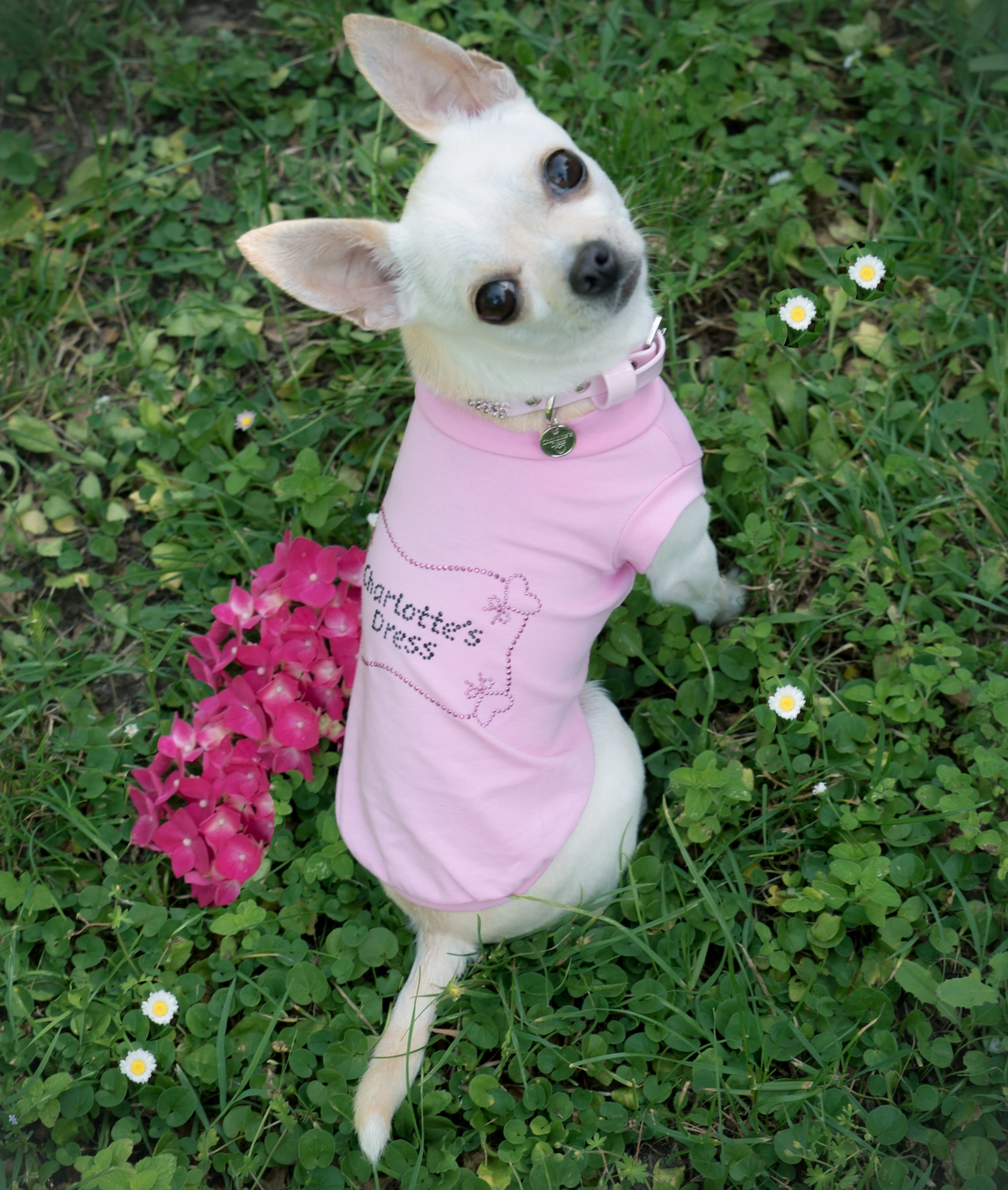 Luna … un outfits firmato Charlotte’s Dress