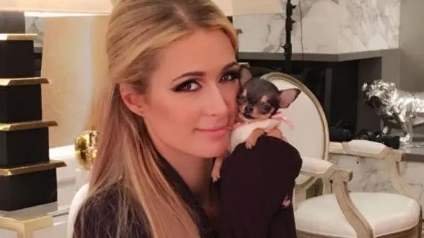 Paris Hilton spende ottomila dollari per Diamond Baby