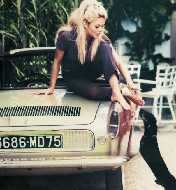 Brigitte Bardot e il suo amore per gli animali