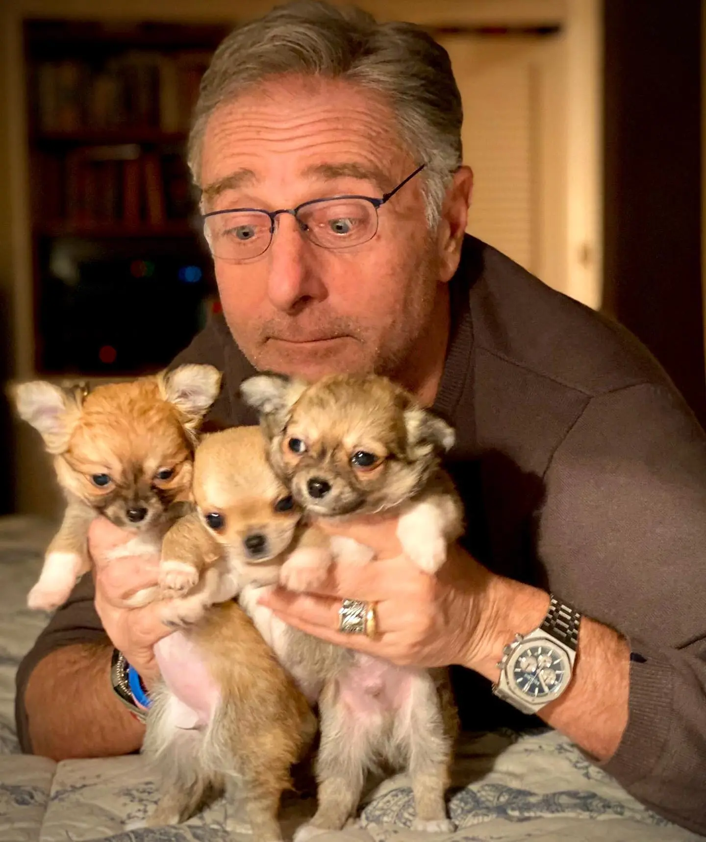 Paolo Bonolis e Sonia Bruganelli alle prese con 3 cuccioli di chihuahua