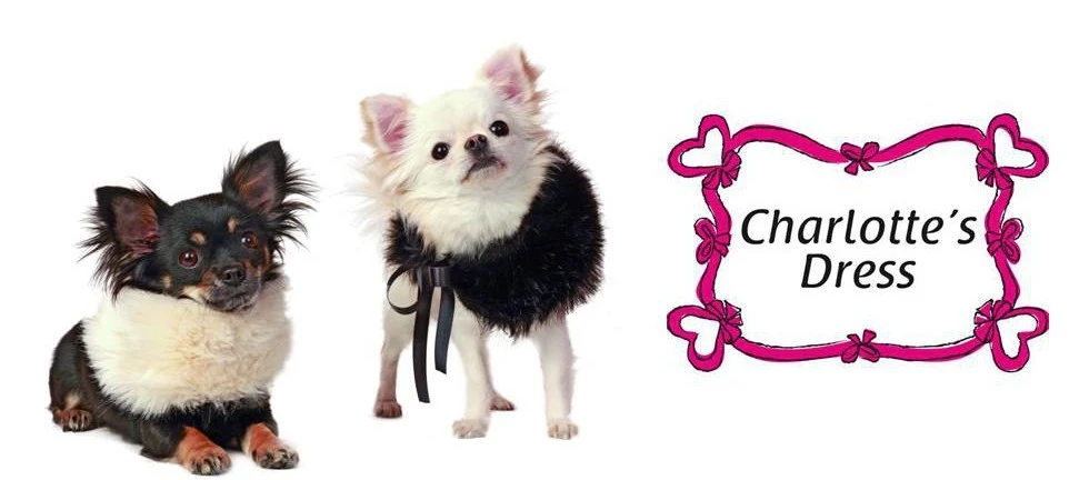 Charlotte’s Dress: Collezione A/I 2013-2014