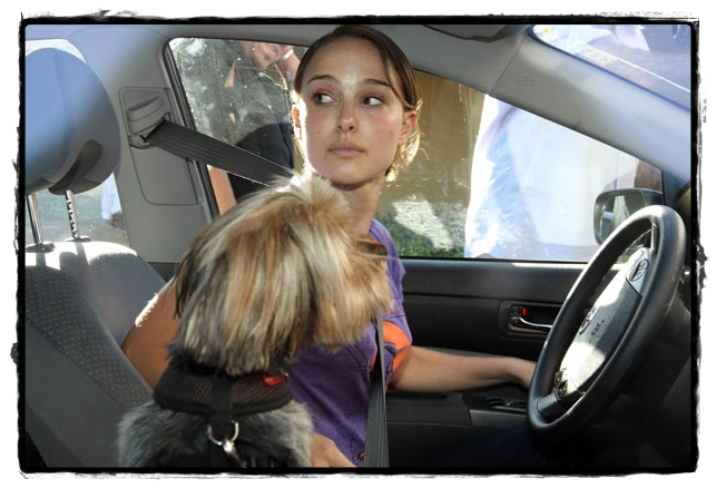 Natalie Portman preferisce le pettorine della Puppia