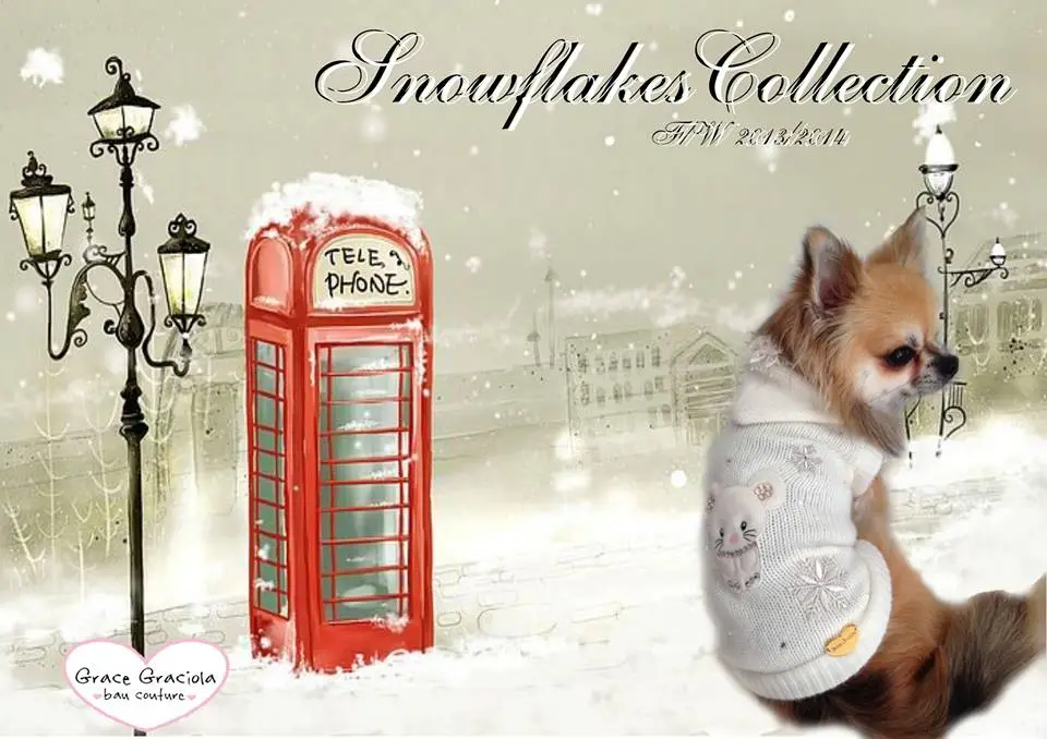 Snowflakes by Grace Graciola Bau Couture