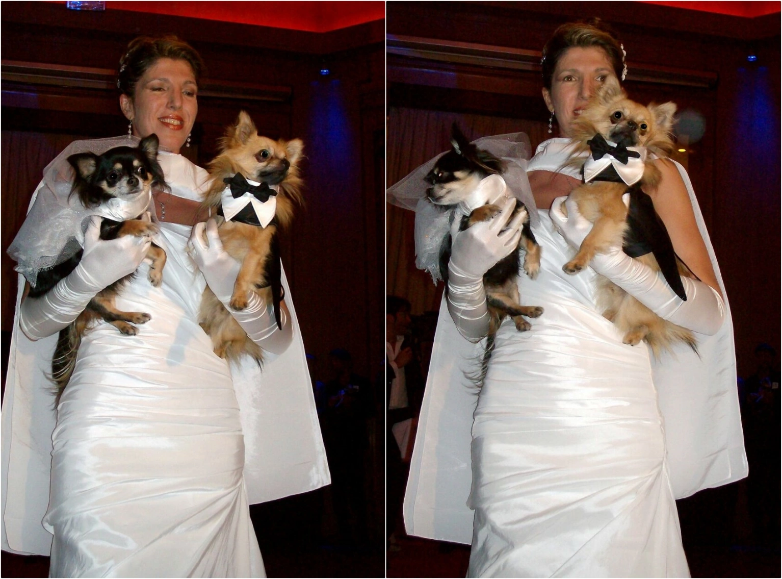 Abiti da cerimonia per cani