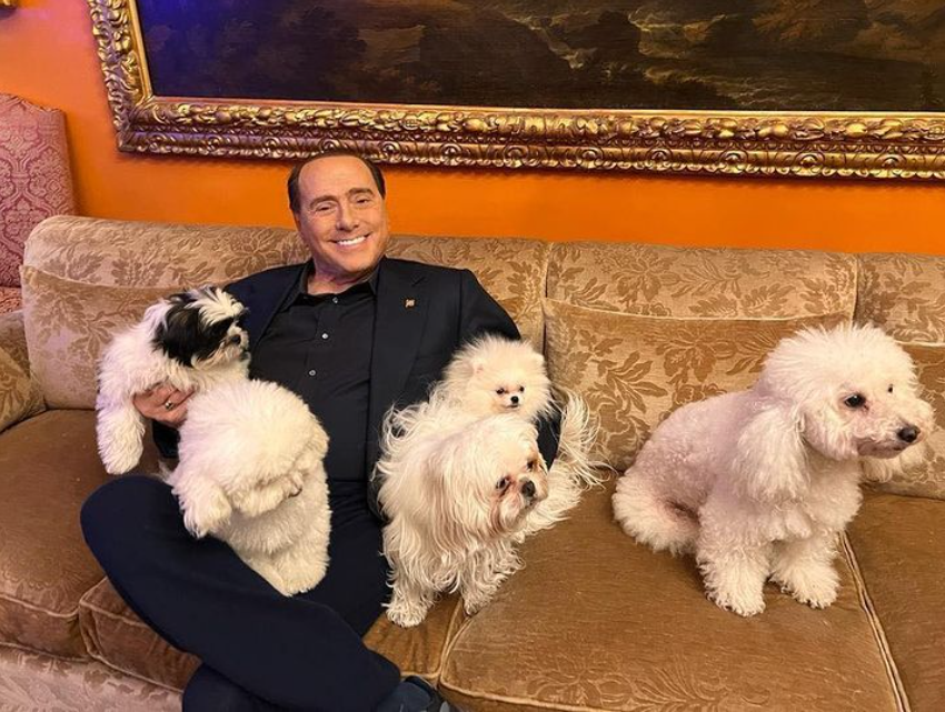 Silvio berlusconi: i cani sono una via di mezzo tra gli angeli e i bambini Silvio berlusconi: i cani sono una via di mezzo tra gli angeli e i bambini