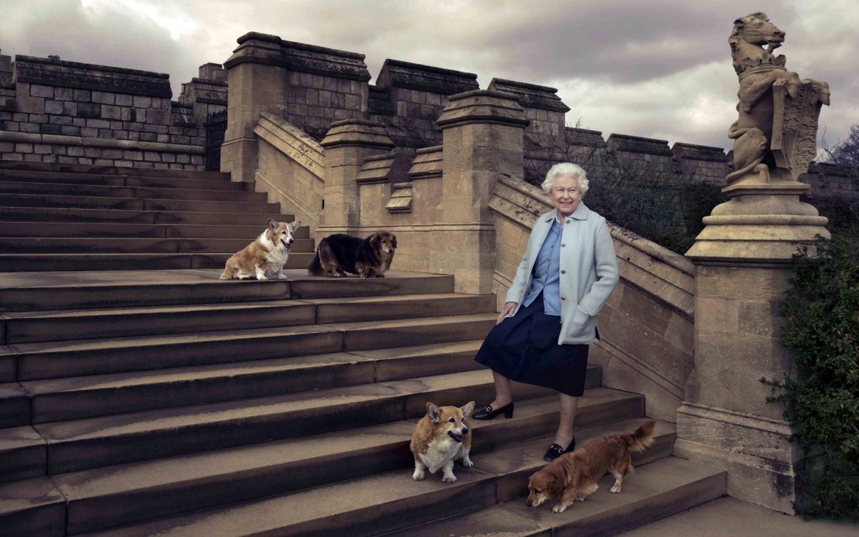 Chi si prenderà cura dei cani della Regina Elisabetta? Chi si prenderà cura dei cani della Regina Elisabetta?