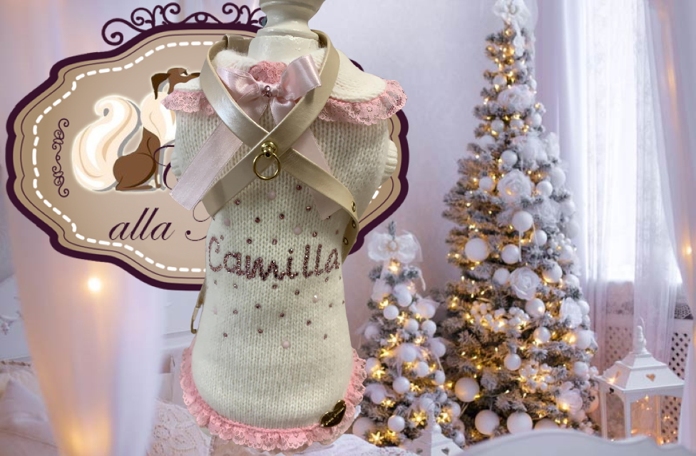 Maglioncino personalizzato Maglioncino personalizzato