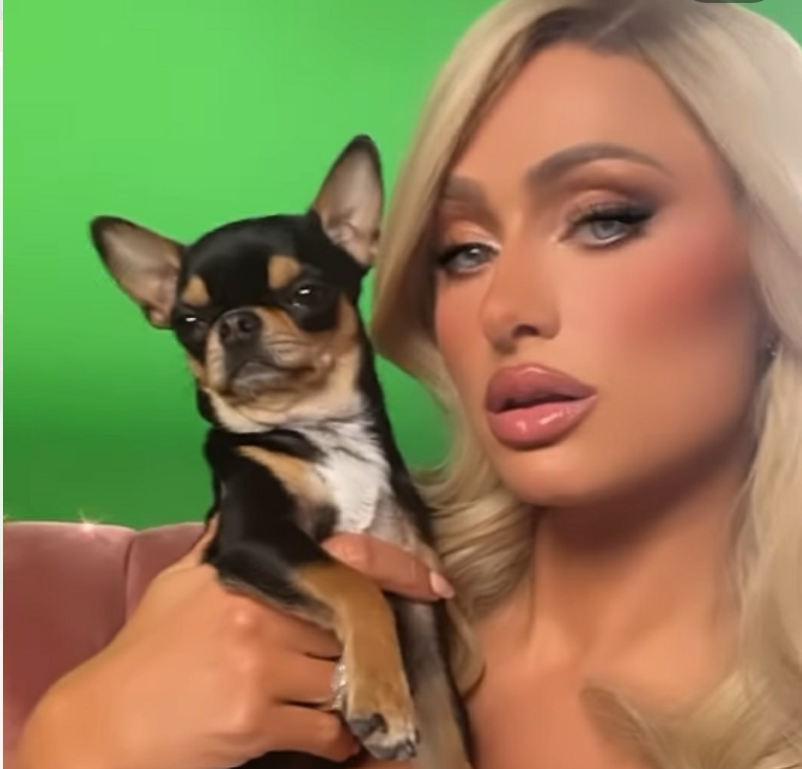 Paris Hilton disperata per la scomparsa della sua Diamond Baby Paris Hilton disperata per la scomparsa della sua Diamond Baby