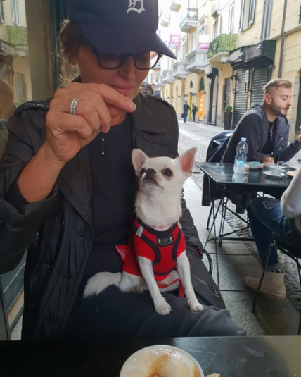 Dalila Di Lazzaro, il gatto ed il chihuahua